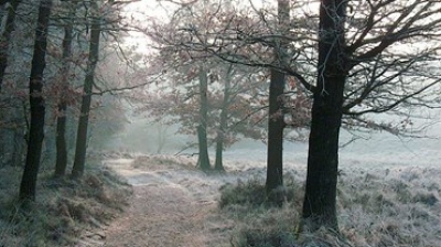 'Het jaar glijdt weg in de schoot der tijden'