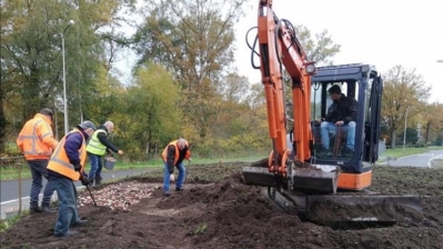 Duizenden bloembollen geplant in Besthmen