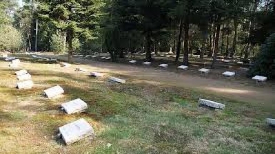 Ereveld vol verhalen