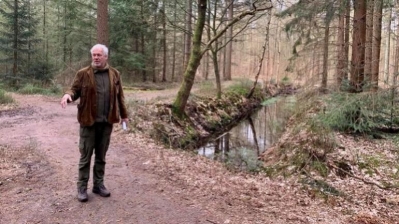 Over de resten van een tankgracht in het Asserbos