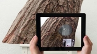Zoeken naar een granaatscherf in een boom, app over Park Hartenstein gaat niet door